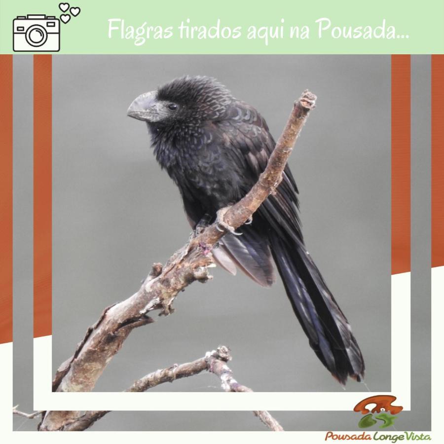 Pousada Longe Vista Tibagi Exterior foto